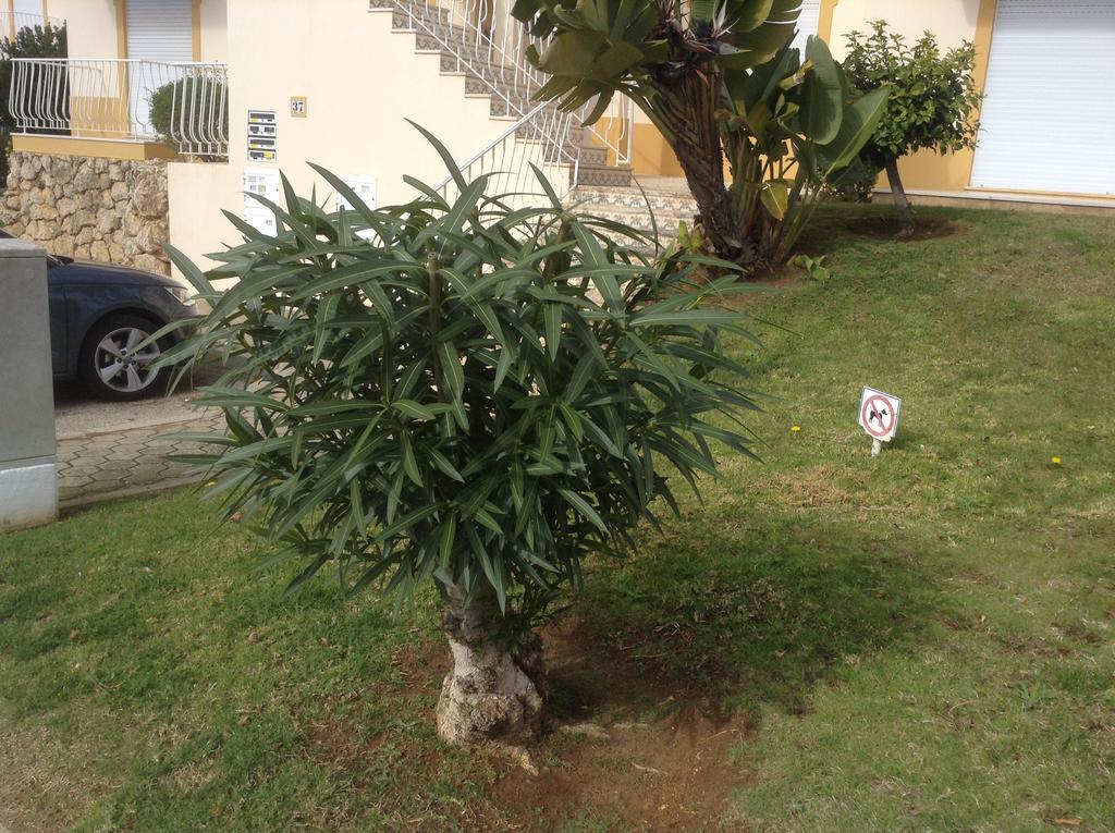 Votre Appartement A Portimão Buitenkant foto